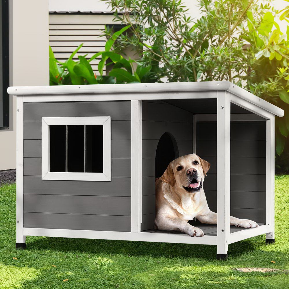 Buy dog best sale kennels online