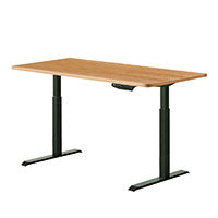 Sit Stand Desks