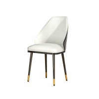 Modern Dining Chairs