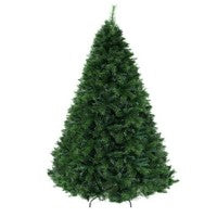 Unlit Christmas Trees