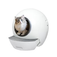 Cat Litter Boxes