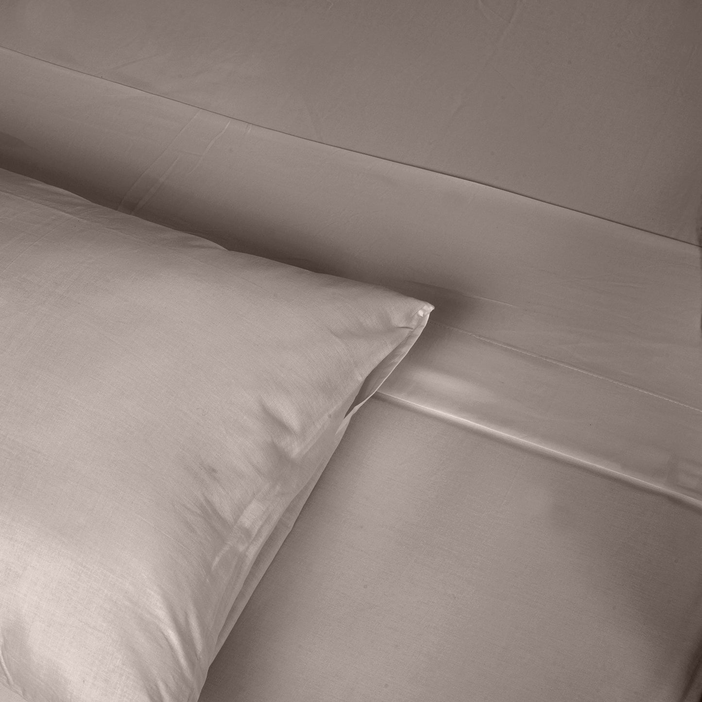 King Renee Taylor 1500 TC Cotton Blend Sheet Set - Stone