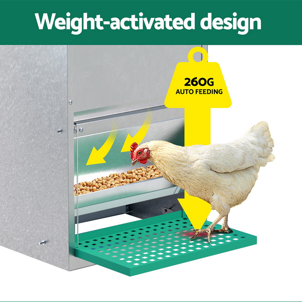 Automatic Chicken Feeder Port Coop Chick Poultry Treadle Self Opening