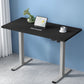 Artiss Standing Desk Motorised 120cm Black