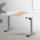 Artiss Standing Desk Electric Sit Stand Desks 120cm