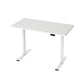 Artiss Standing Desk Motorised Dual Motor 120cm White