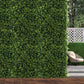 Set of 10 Artificial Boxwood Hedge Fence Fake Vertical Garden