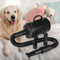 Dog Cat Pet Hair Dryer Grooming Blow Speed Hairdryer Blower Heater Blaster 2800W - Black