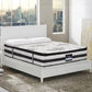 Seraphic Ensemble Bed Base & Mattress Package with 34cm Mattress - Beige Double