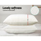 Set of 2 Memory Foam Pillow 19cm Thick