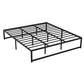 Chloe Bed Frame Metal Platform Bed Base Mattress - Black King