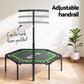 Everfit Trampoline 4FT Hexagon Fitness Rebounder Adjustable Handrail Green