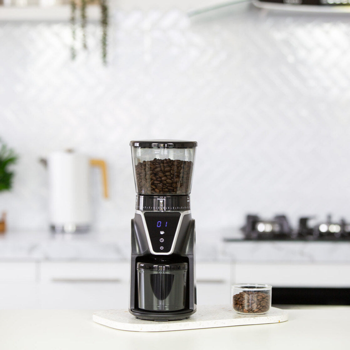 Electric Burr Coffee Bean Grinder/ 10 Cups/ 31 Grind Settings