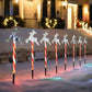 Set of 8 Solar LED Path Lights Reindeer - Cool White