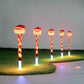 Set of 5 LED Candy Path Lights - Santa