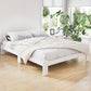 Cassidy Bed Frame Wooden Bed Base with Timber Foundation - White Double