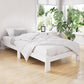 Haven Bed Frame Wooden Timber Platform - White King Single