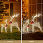 2-Pieces Christmas Lights 170 LED Fairy Light Reindeer Decorations