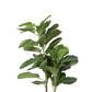 Artificial Plant Tree Room Garden Indoor Outdoor Home Décor 100cm