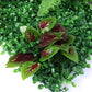 Set of 6 Artificial Hedge Grass Plant Hedge Fake Vertical Garden Green Wall Ivy Mat Fence