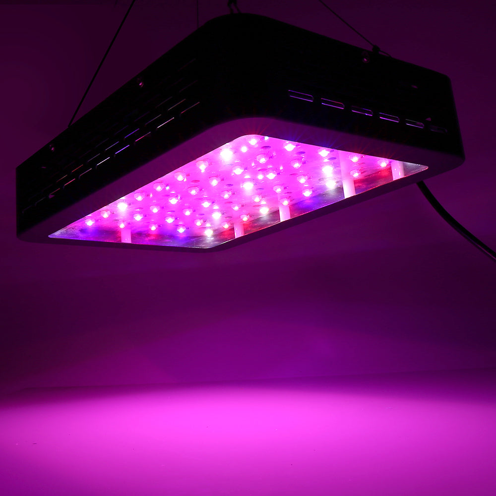 King 1200w deals led grow light