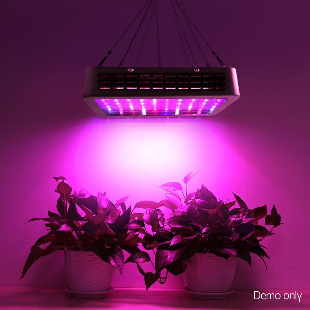 Led grow lights deals afterpay