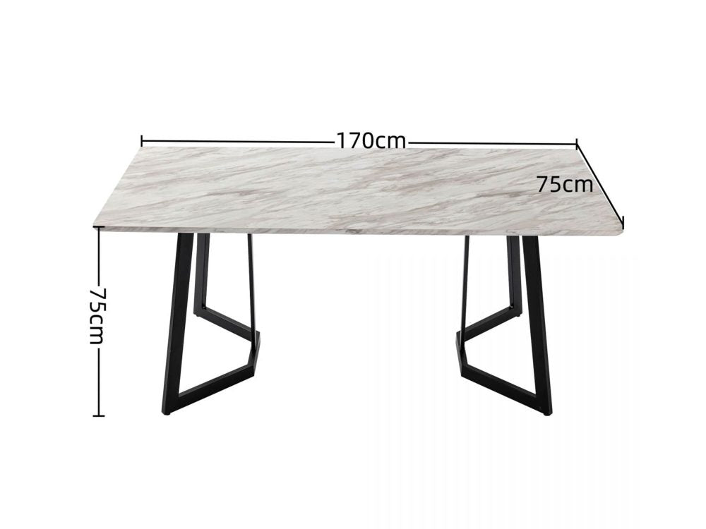 Dana Rectangular Marble - Effect Table